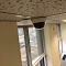 купольная видеокамера с креплением на потолок офиса